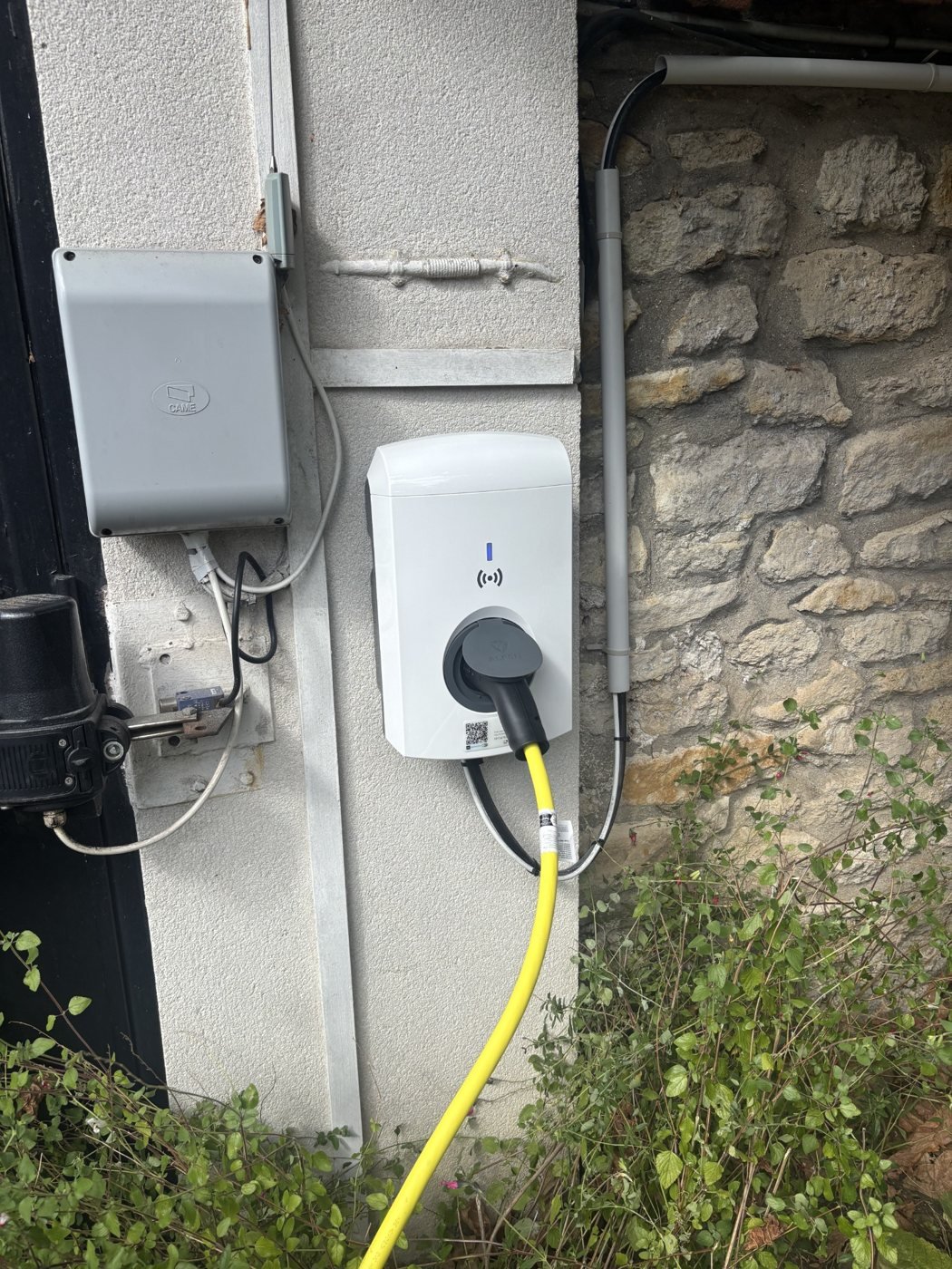 Borne Alfen installée par SVE BORNE au domicile d’un collaborateur à Champigny-sur-Marne